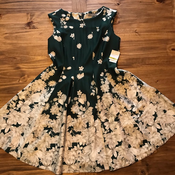 NWT: Danny and Nicole a-line dress w/pockets - Picture 4 of 11